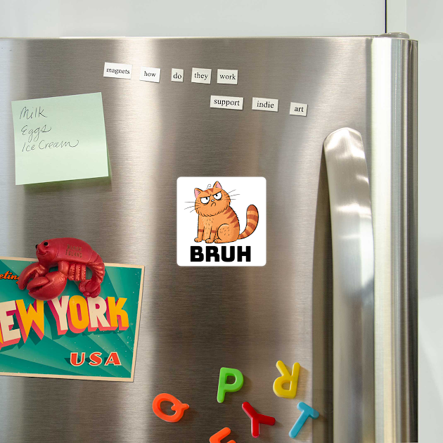 BRUH Cranky Cat funny meme design by Luxinda